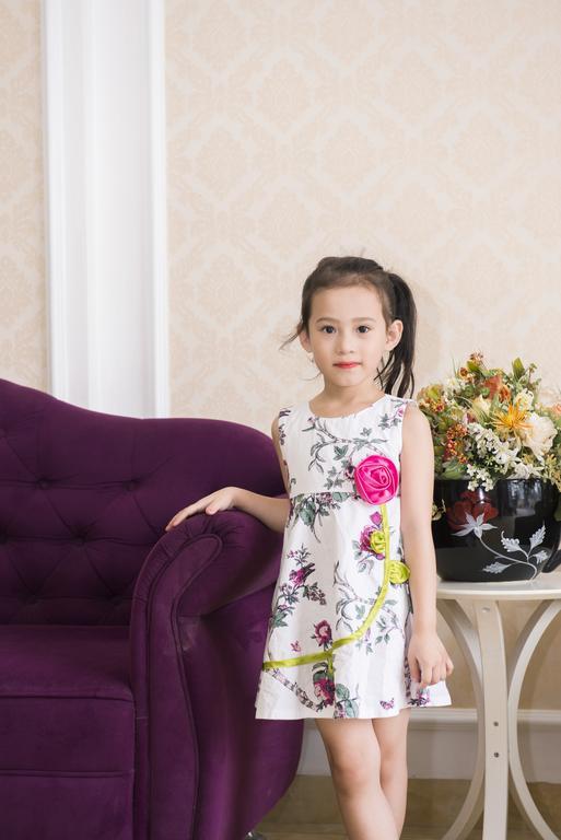 Elly Hotel Hanoi Esterno foto